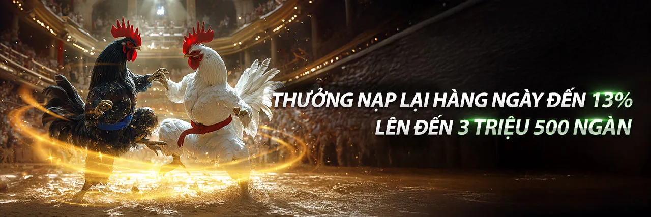Đá gà trực tuyến 888m - Sân đấu kịch tính