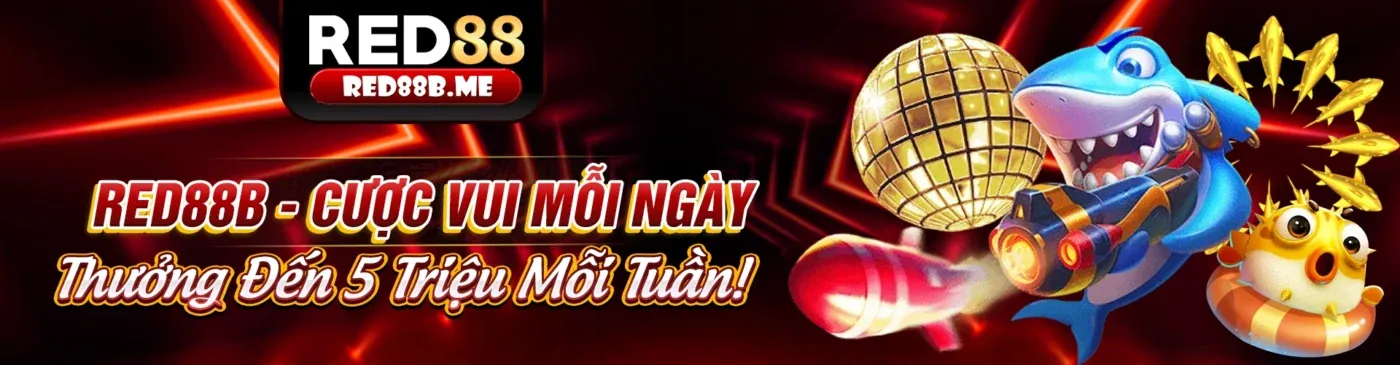 Cá cược quần vợt 888m